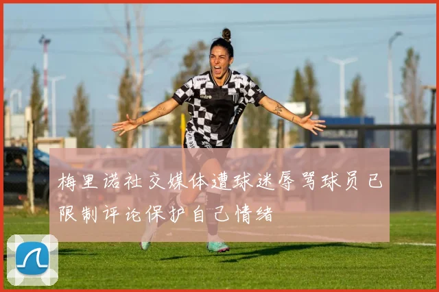 梅里诺社交媒体遭球迷辱骂球员已限制评论保护自己情绪